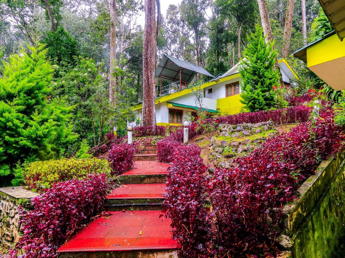 Oyo 4651 Woodpecker Resort Munnar Exteriör bild